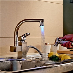 Moen Kitchen Faucet